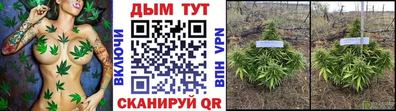 мориарти официальный сайт  Ртищево  Бошки марихуана гибрид 